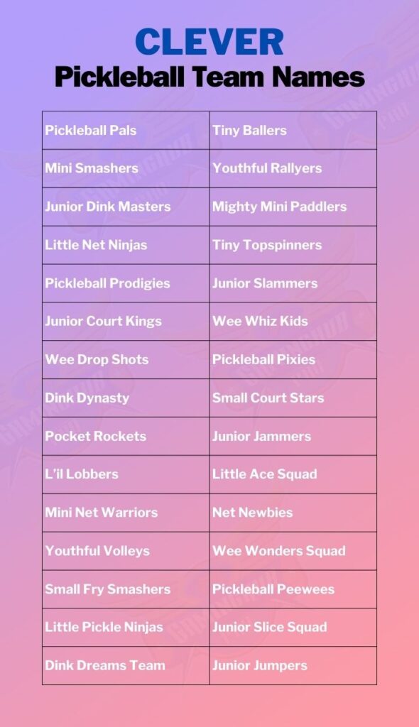 Clever Pickleball Team Names