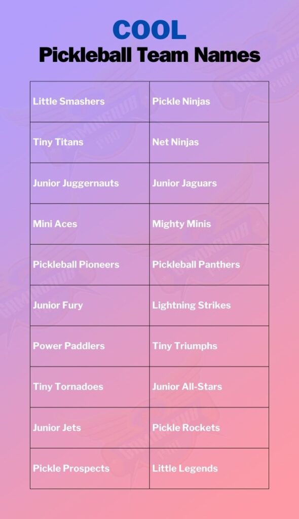 Cool Pickleball Team Names