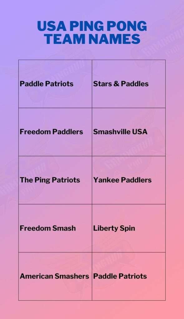 USA Ping Pong Team Names
